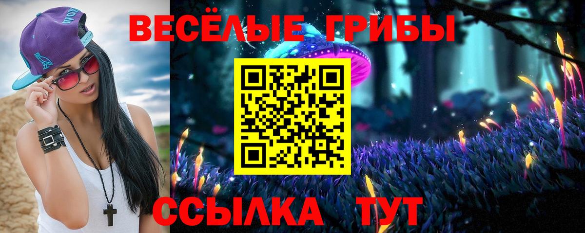 Псилоцибиновые грибы Psilocybine cubensis  Вход с VPN  Сафоново 